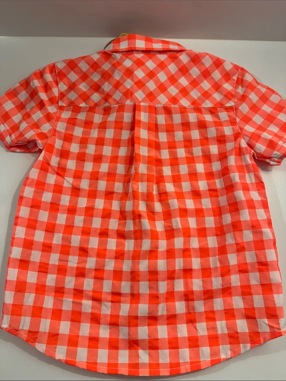 egg by Susan Lazar Neon Button Down